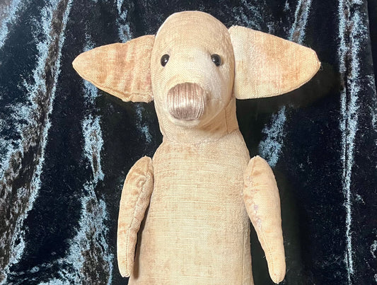 Kangi - the 125 year old Australian Kangaroo