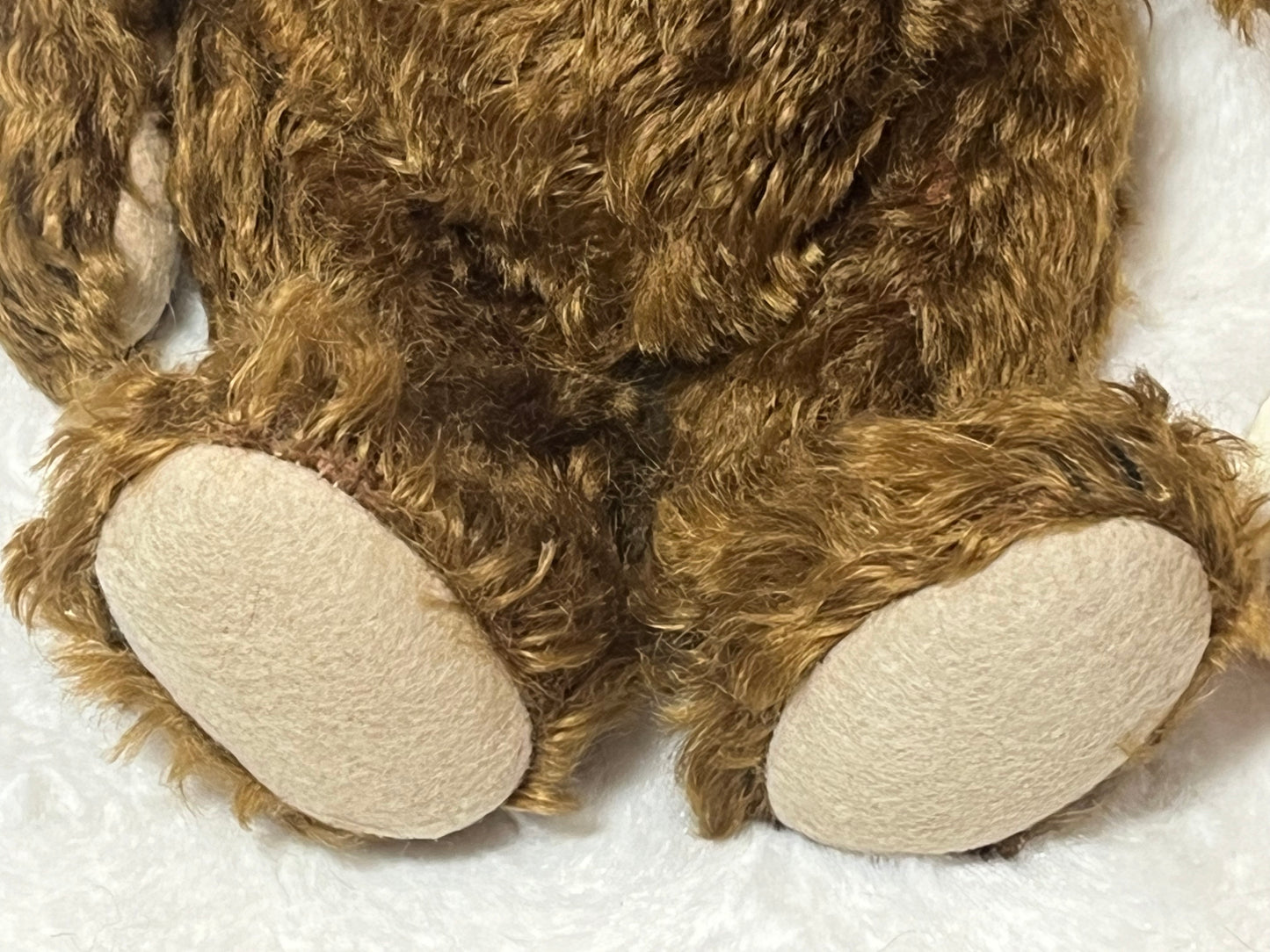 Steiff Classic Chocolate Brown Teddy Bear - White Tag