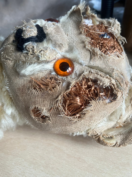 MOTHS: My Teddy bear has moths, what do I do?