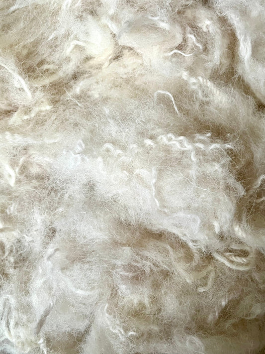 Eco-conscious & Environmentally Friendly