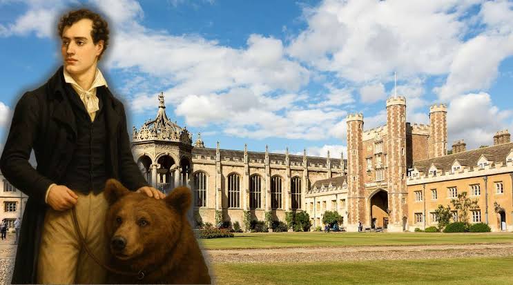 Smartest bear on campus! The defiance of Lord Byron